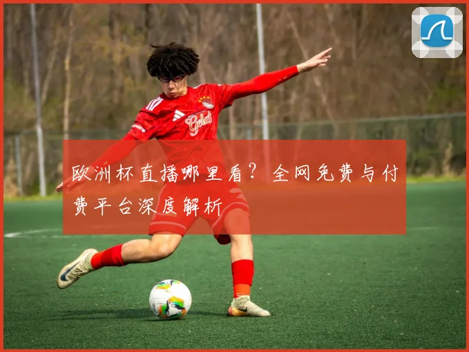 欧洲杯直播哪里看？全网免费与付费平台深度解析