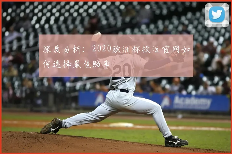 深度分析：2020欧洲杯投注官网如何选择最佳赔率