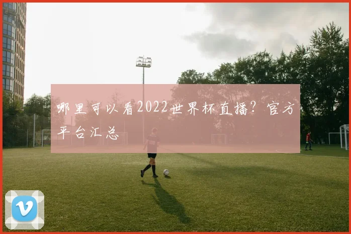 哪里可以看2022世界杯直播？官方平台汇总