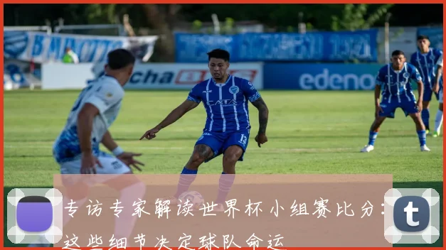 专访专家解读世界杯小组赛比分:这些细节决定球队命运
