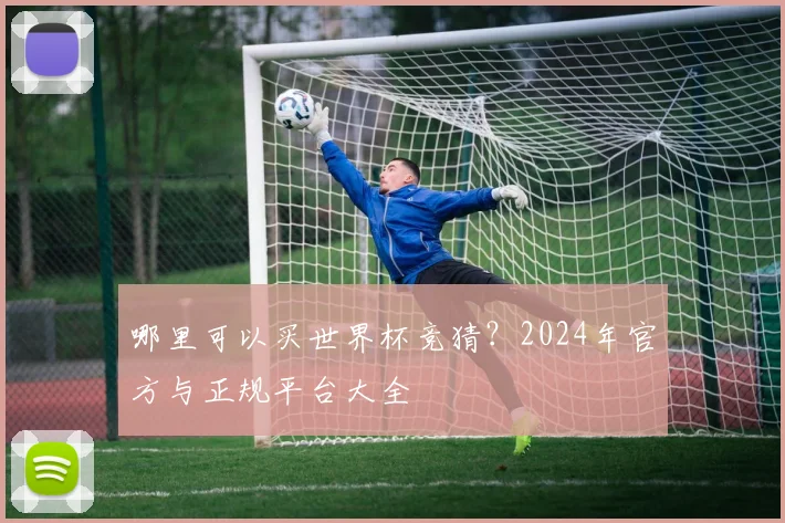 哪里可以买世界杯竞猜？2024年官方与正规平台大全