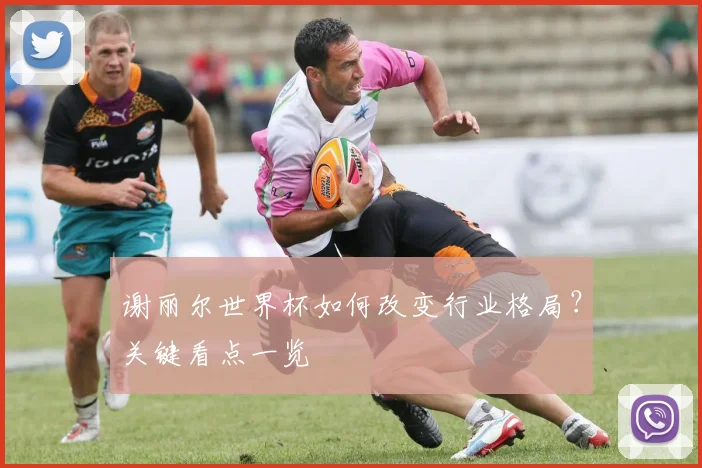 谢丽尔世界杯如何改变行业格局？关键看点一览