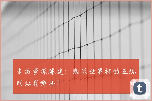 专访资深球迷：购买世界杯的正规网站有哪些？