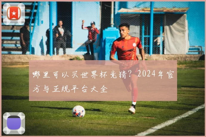 哪里可以买世界杯竞猜？2024年官方与正规平台大全