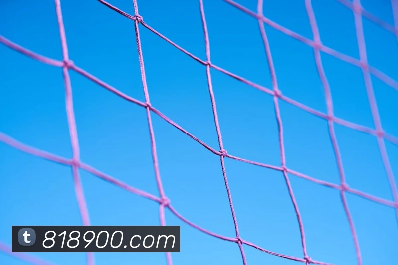 云开体育app官网入口登录网页版平台生态图